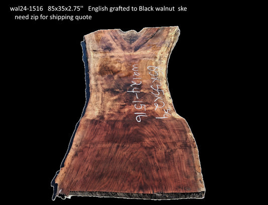 English grafted to black Walnut | burl Table | Headboard | Wal24-1516