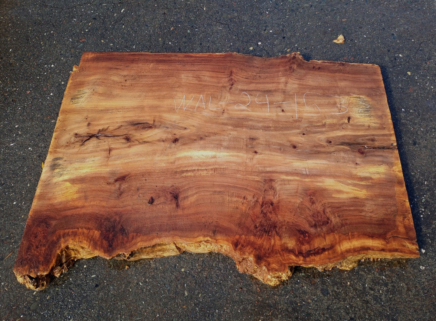 Walnut Slab | DIY Crafts | Desk | Live Edge | Wal24-1533