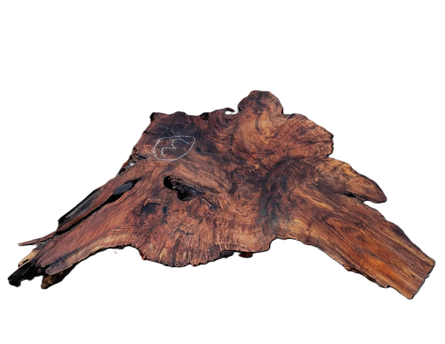 Black Walnut | DIY | Live Edge | burl table | River Table | Wal24-0003