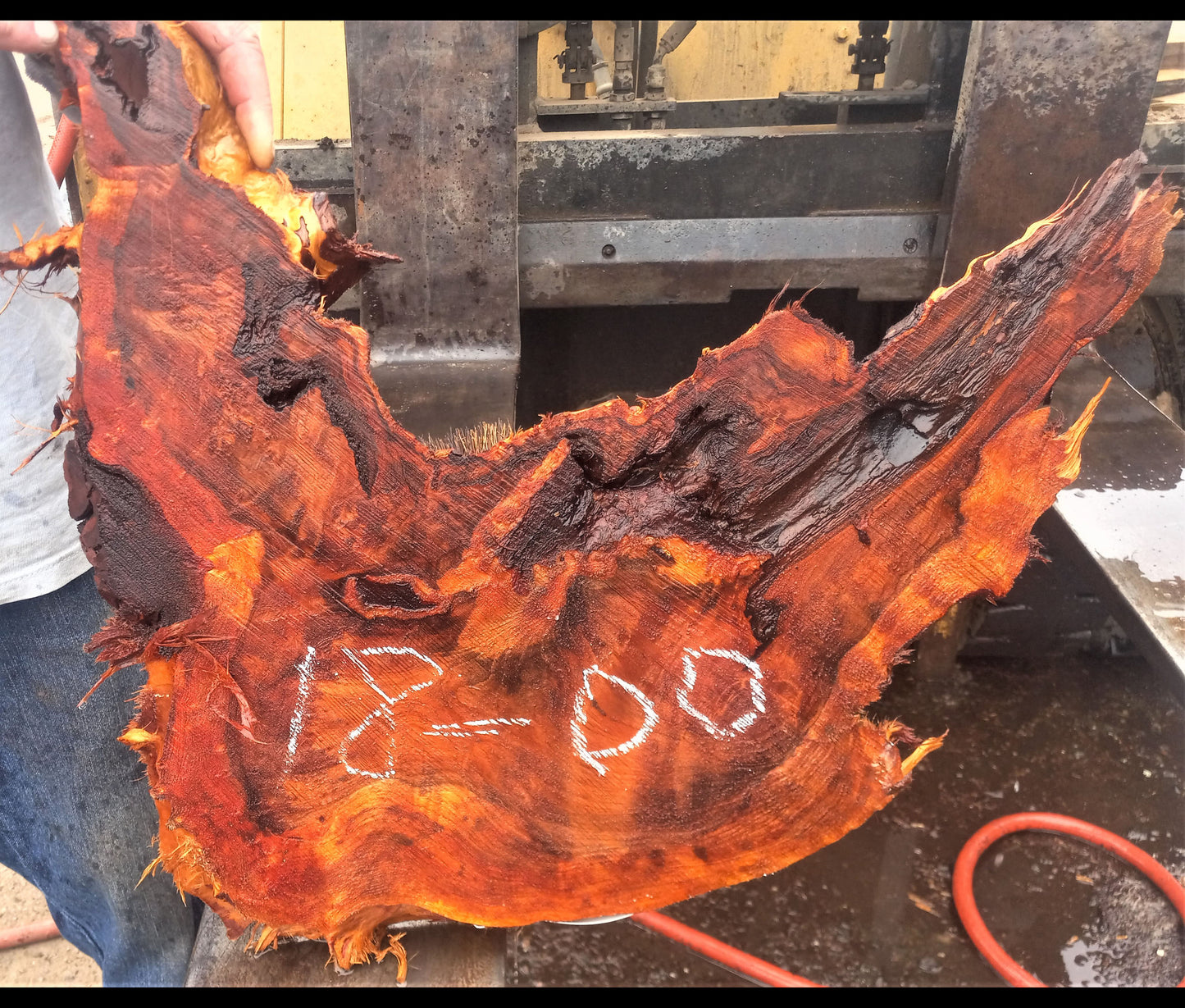 live edge burl slabs | epoxy river tables | resin | DIY wood crafts | 18-00