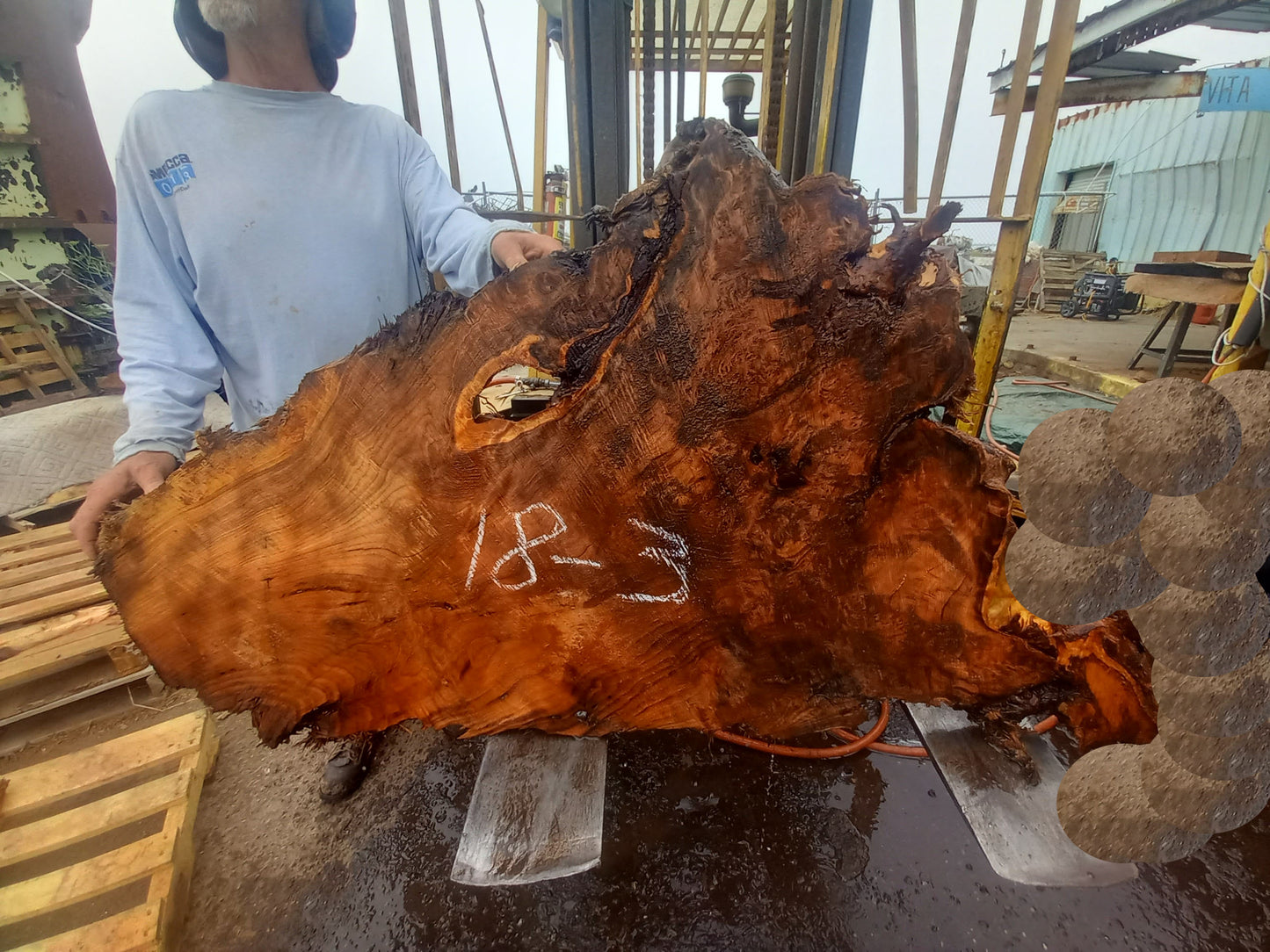 Live edge redwood slab | DIY wood | hand made | 18-3