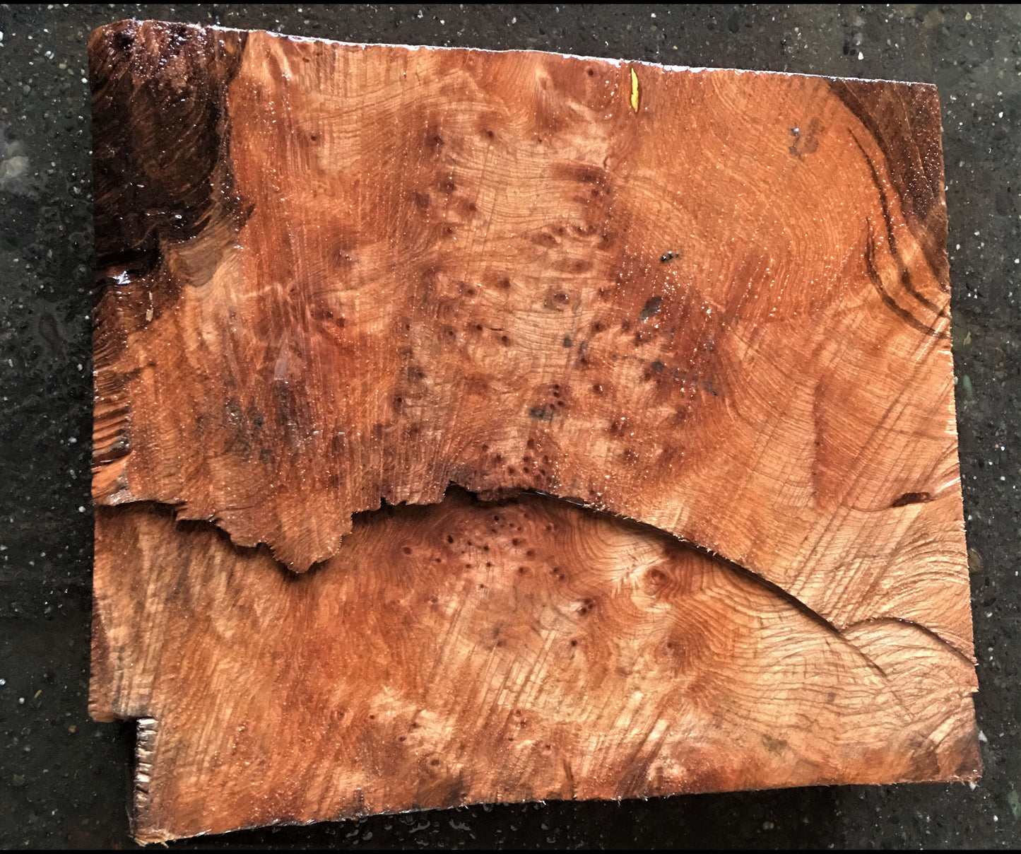 Bowl turning | wood turning | DIY wood crafts | redwood burl | 19-08