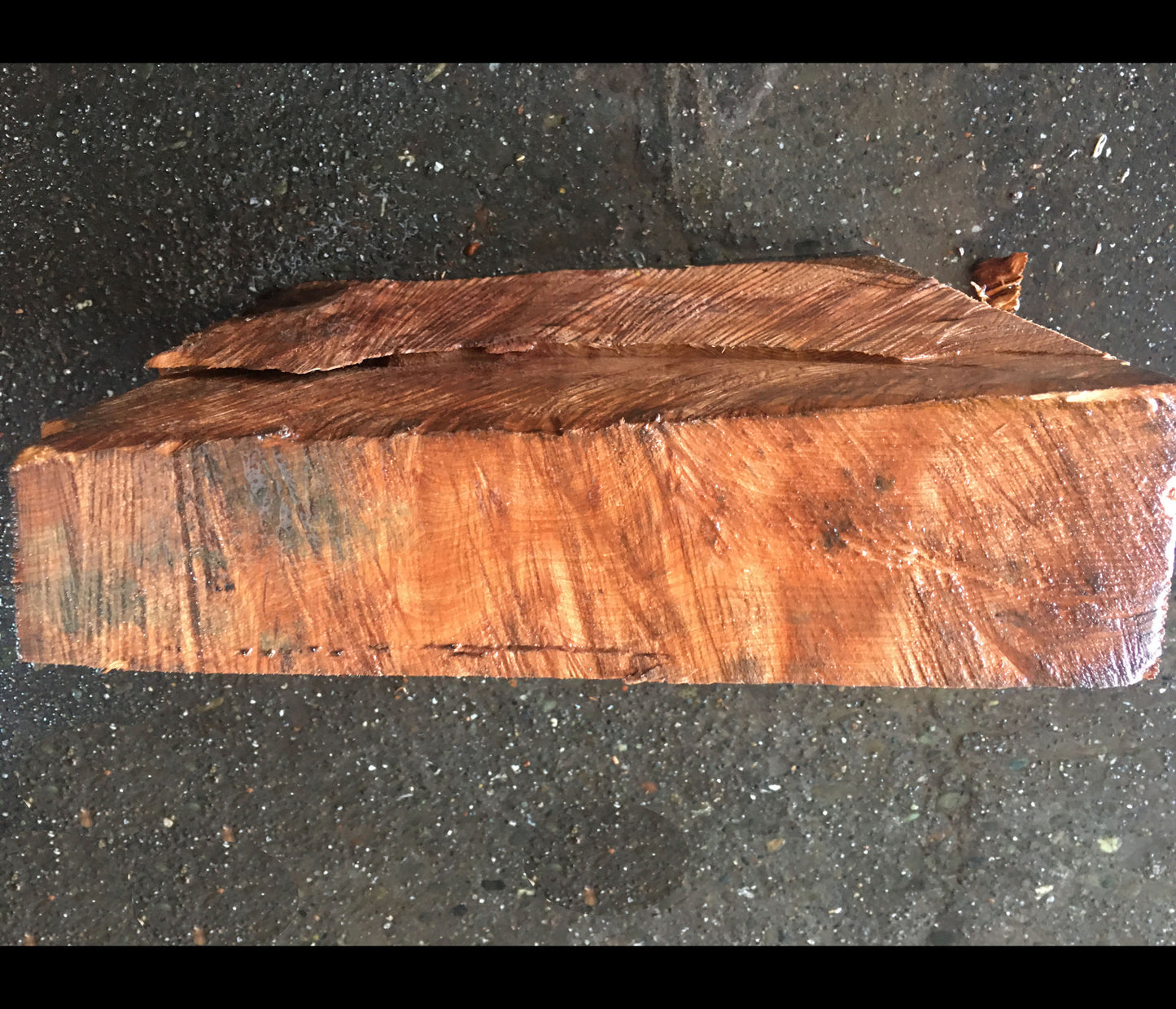 Bowl turning | wood turning | DIY wood crafts | redwood burl | 19-08