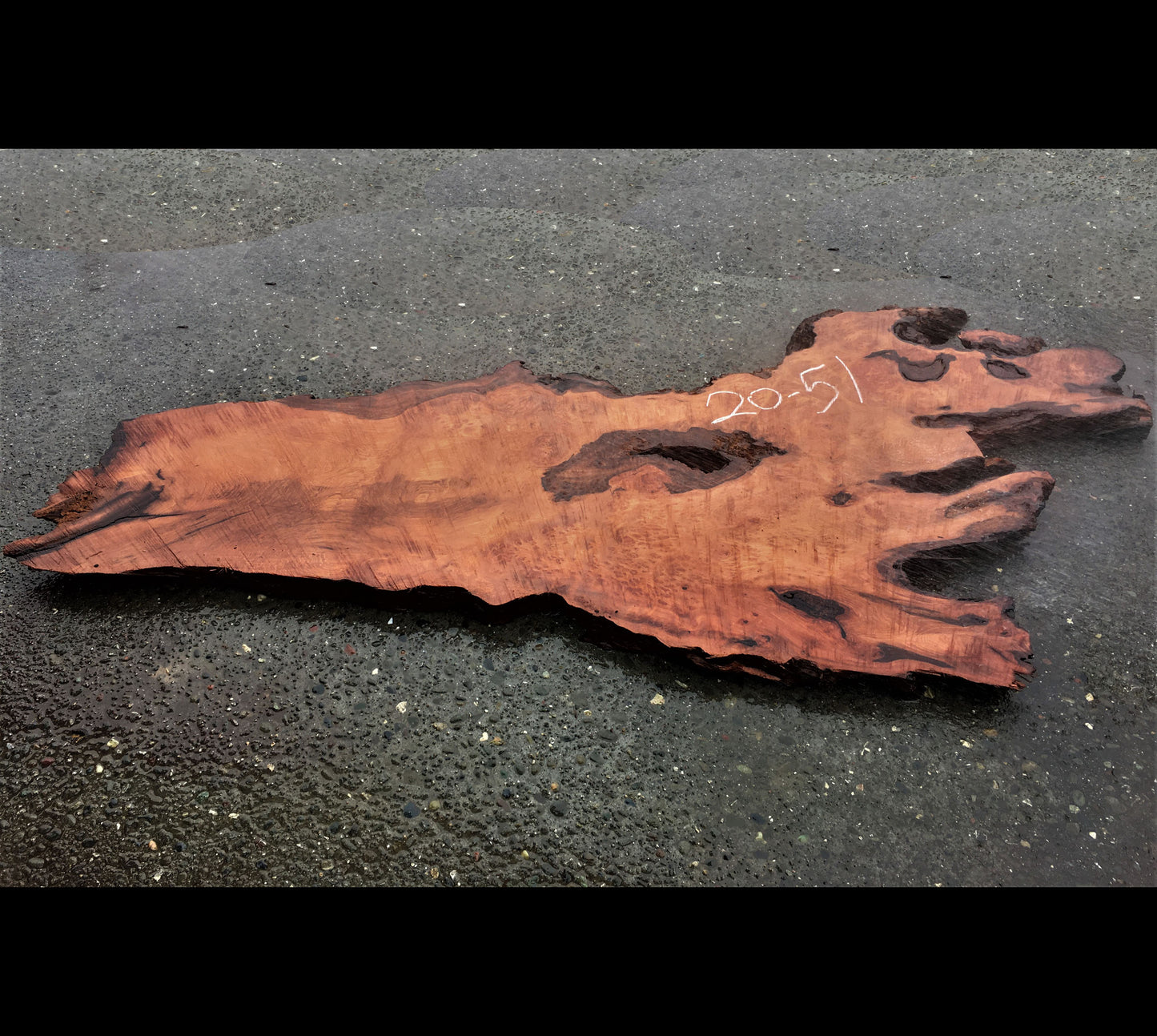 live edge bar counter | redwood burl | rustic headboard | 20-51