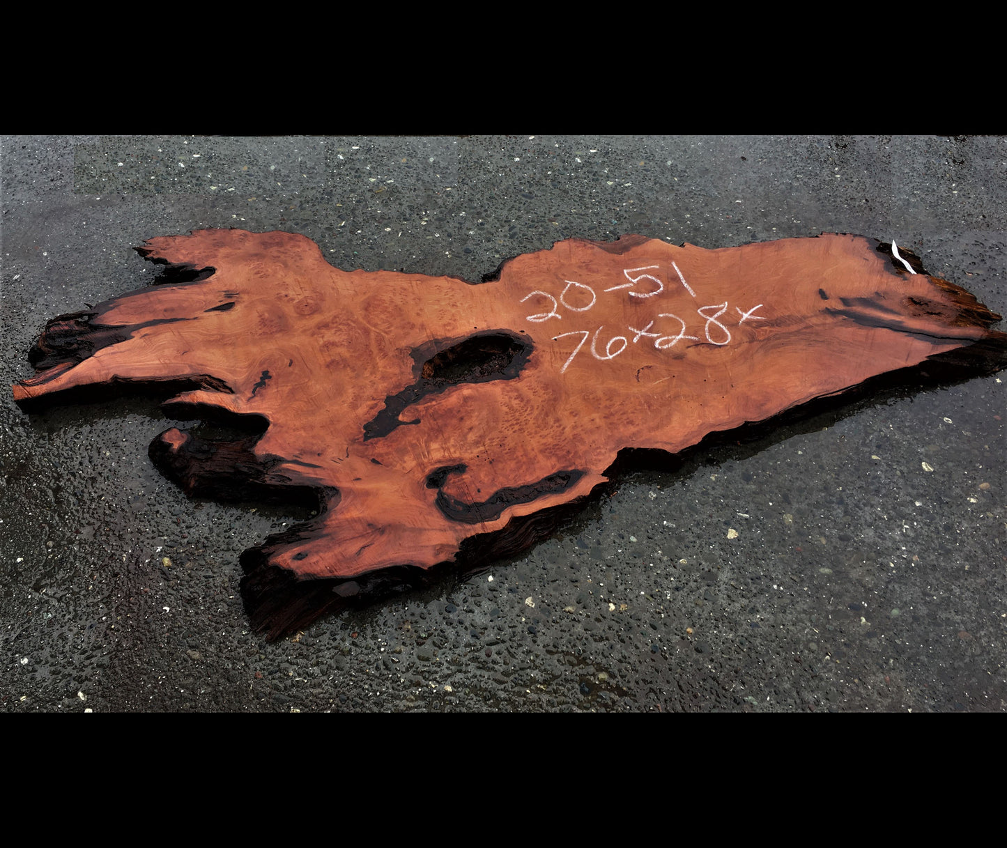 live edge bar counter | redwood burl | rustic headboard | 20-51