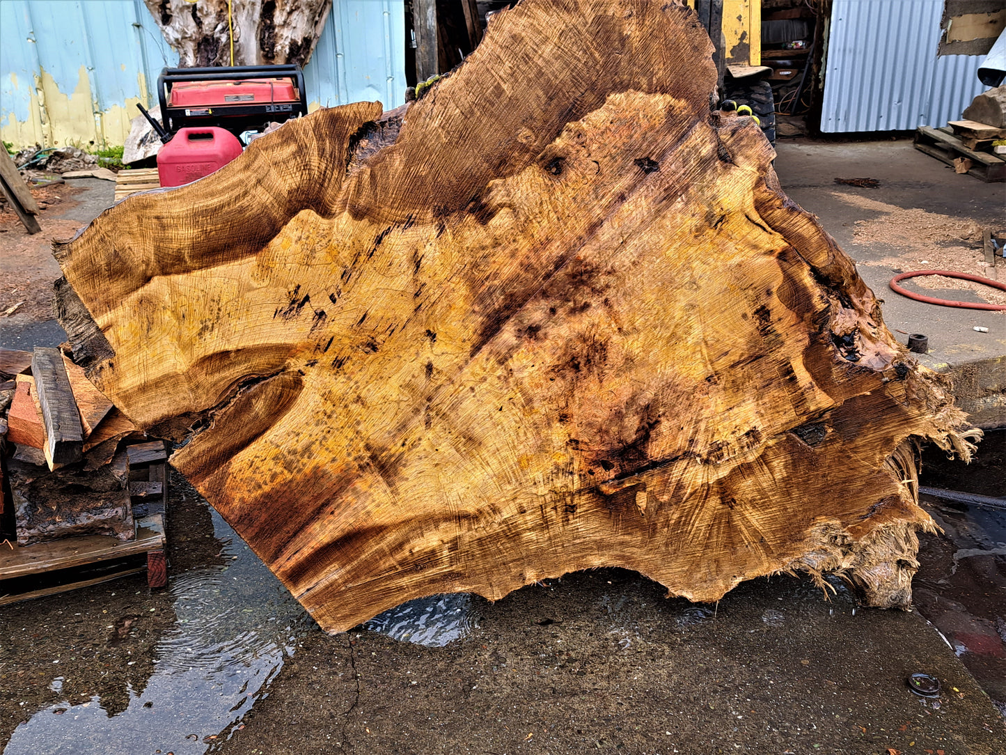 Myrtle burl | live edge slab | Bay | river table | DIY wood ideas | mrt501