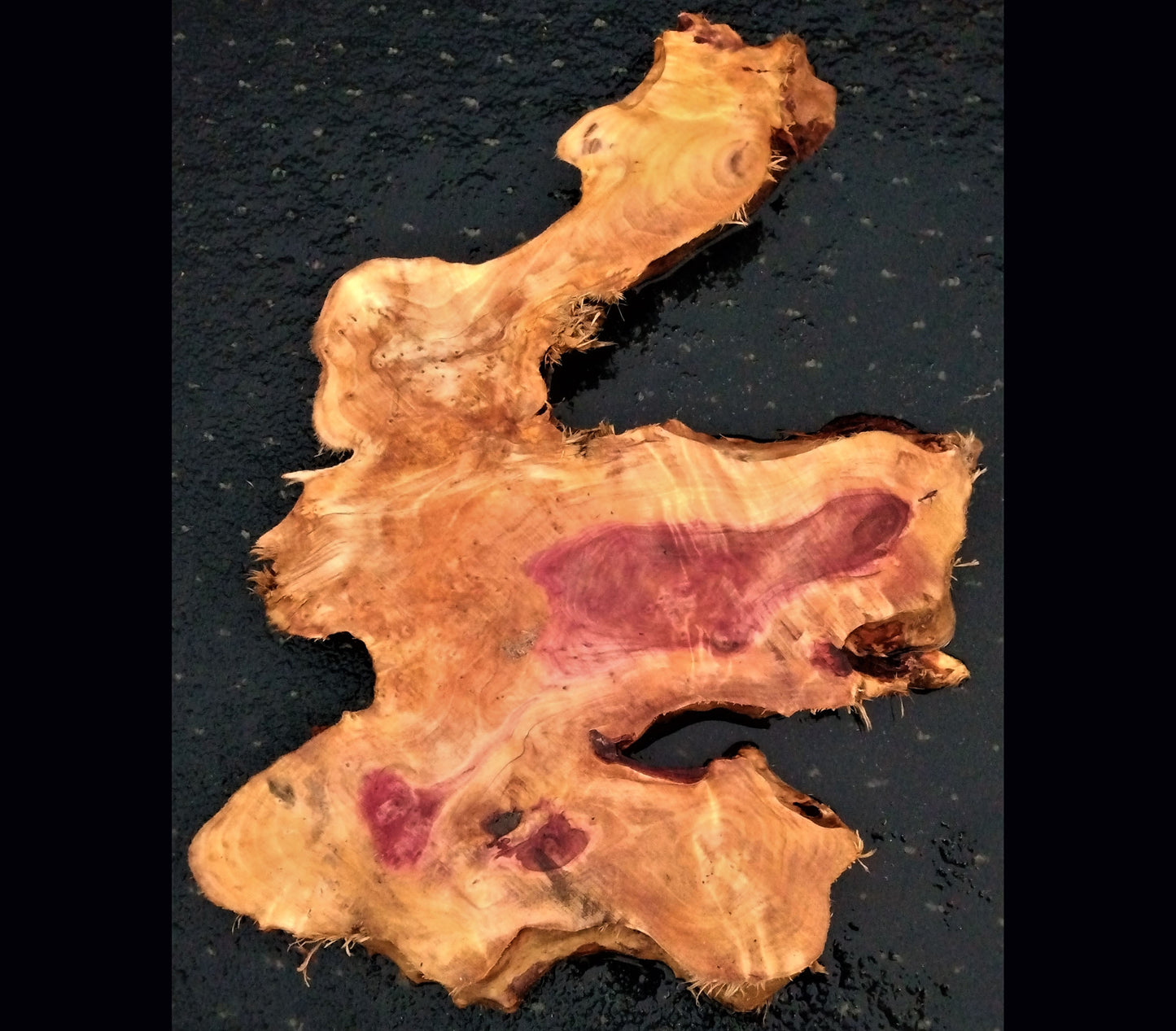 River table wood | redwood burl | live edge slab | 21-0026 bs