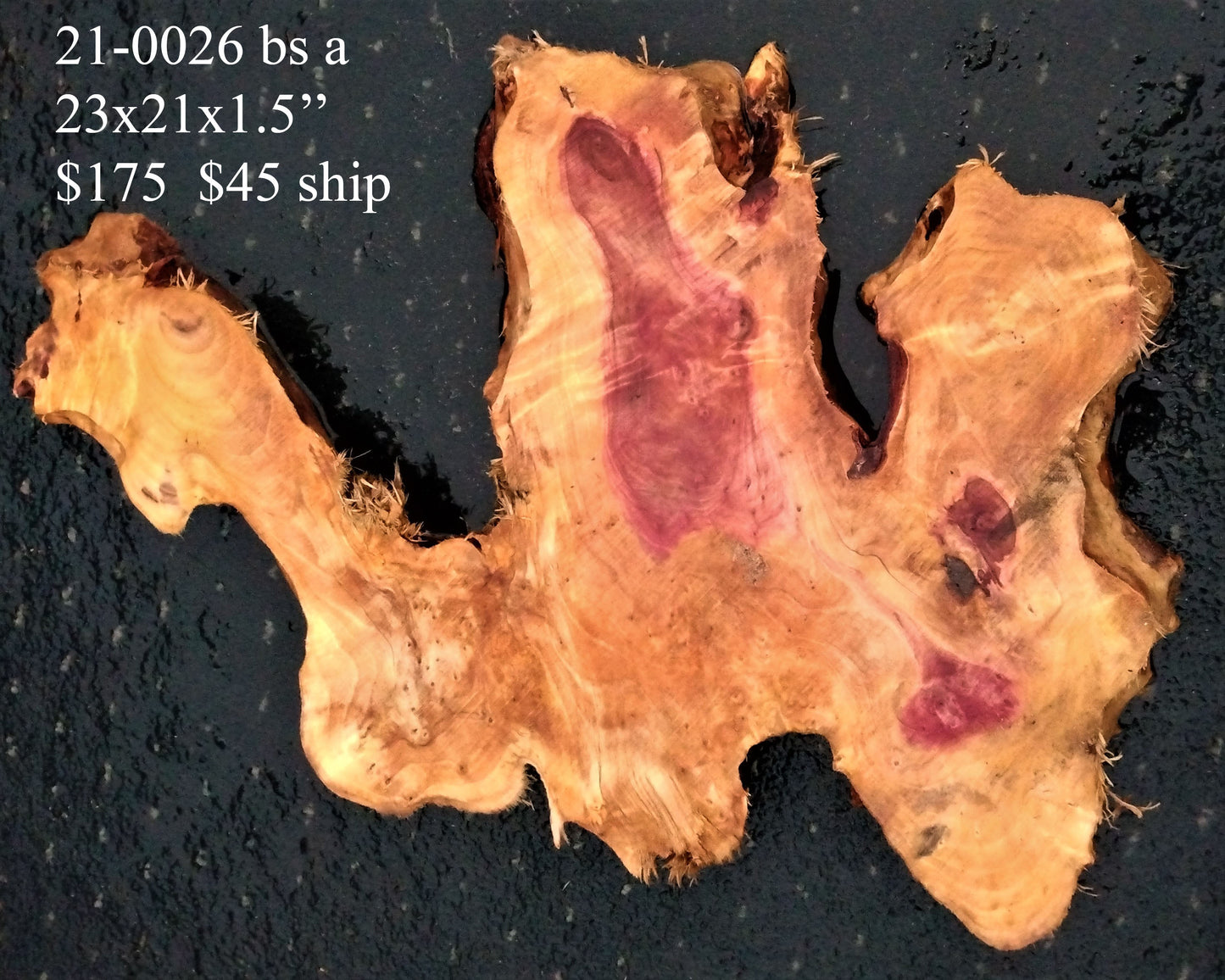 River table wood | redwood burl | live edge slab | 21-0026 bs