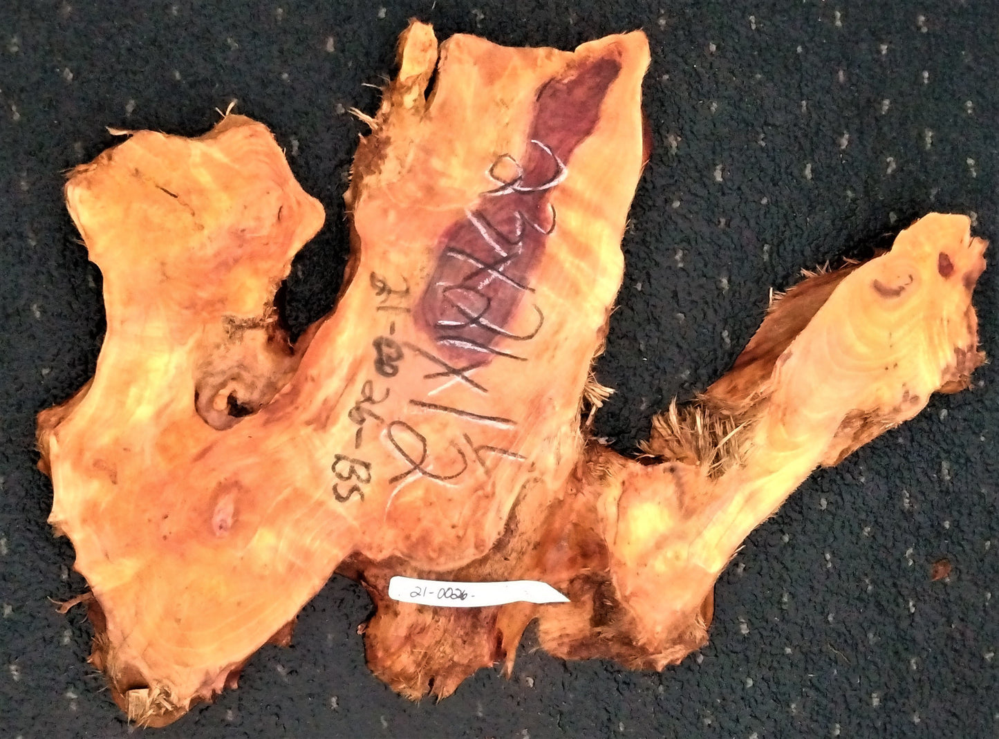 River table wood | redwood burl | live edge slab | 21-0026 bs