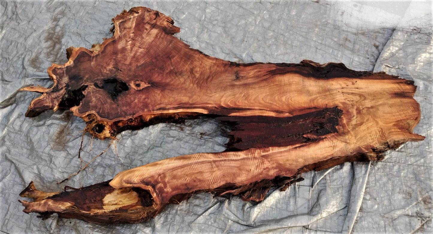 Live edge Redwood | River table | DIY craft wood | 21-0064-BS