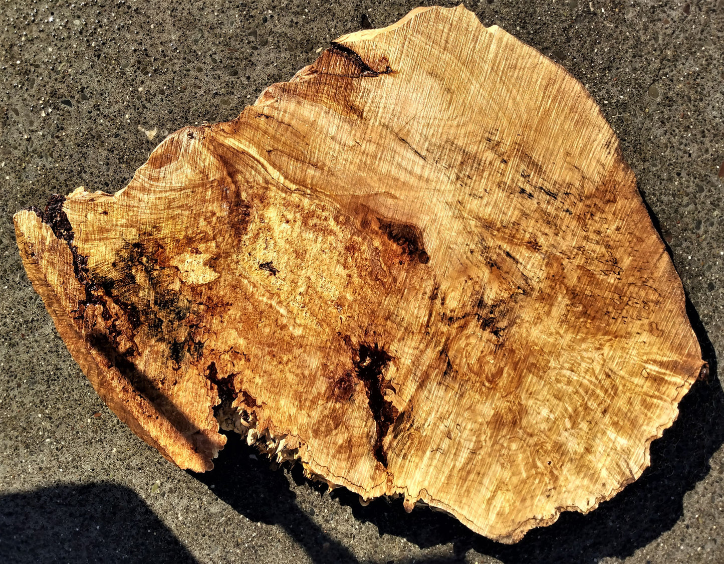Maple burl | craft woods | live edge slab | 21-0087mbs