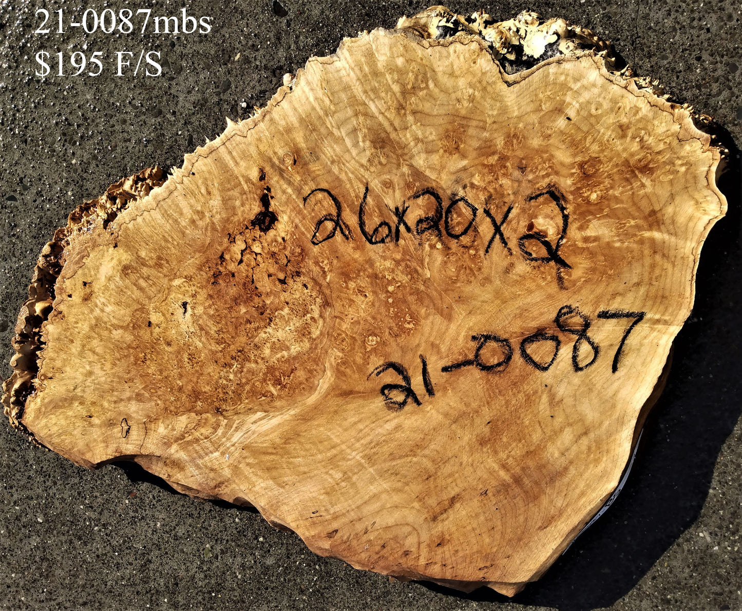 Maple burl | craft woods | live edge slab | 21-0087mbs
