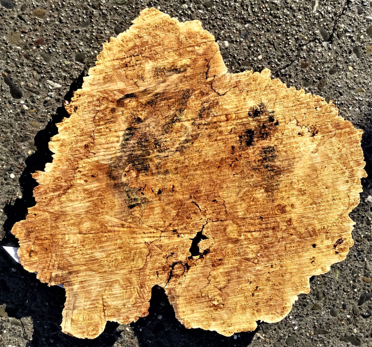 Maple burl slab | live edge wood | Burl clock | craft wood | 21-0092mbs