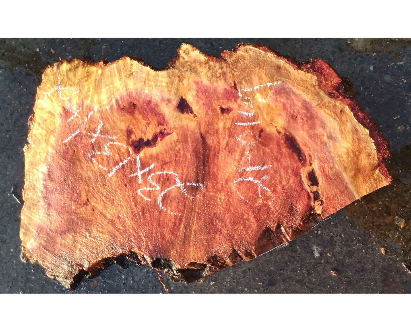 Second growth redwood | lace burl | live edge | DIY craft wood | 21-0149-BS