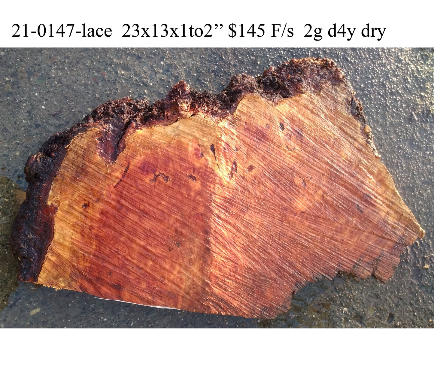 Second growth redwood | lace burl | live edge | DIY craft wood | 21-0149-BS