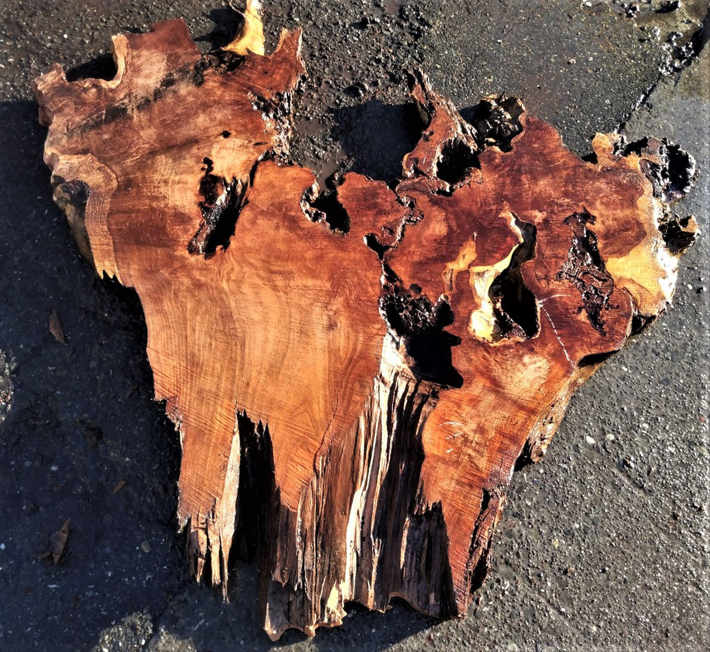 epoxy river tables | live edge slabs | DIY craft woods | redwood | 21-0177-BS