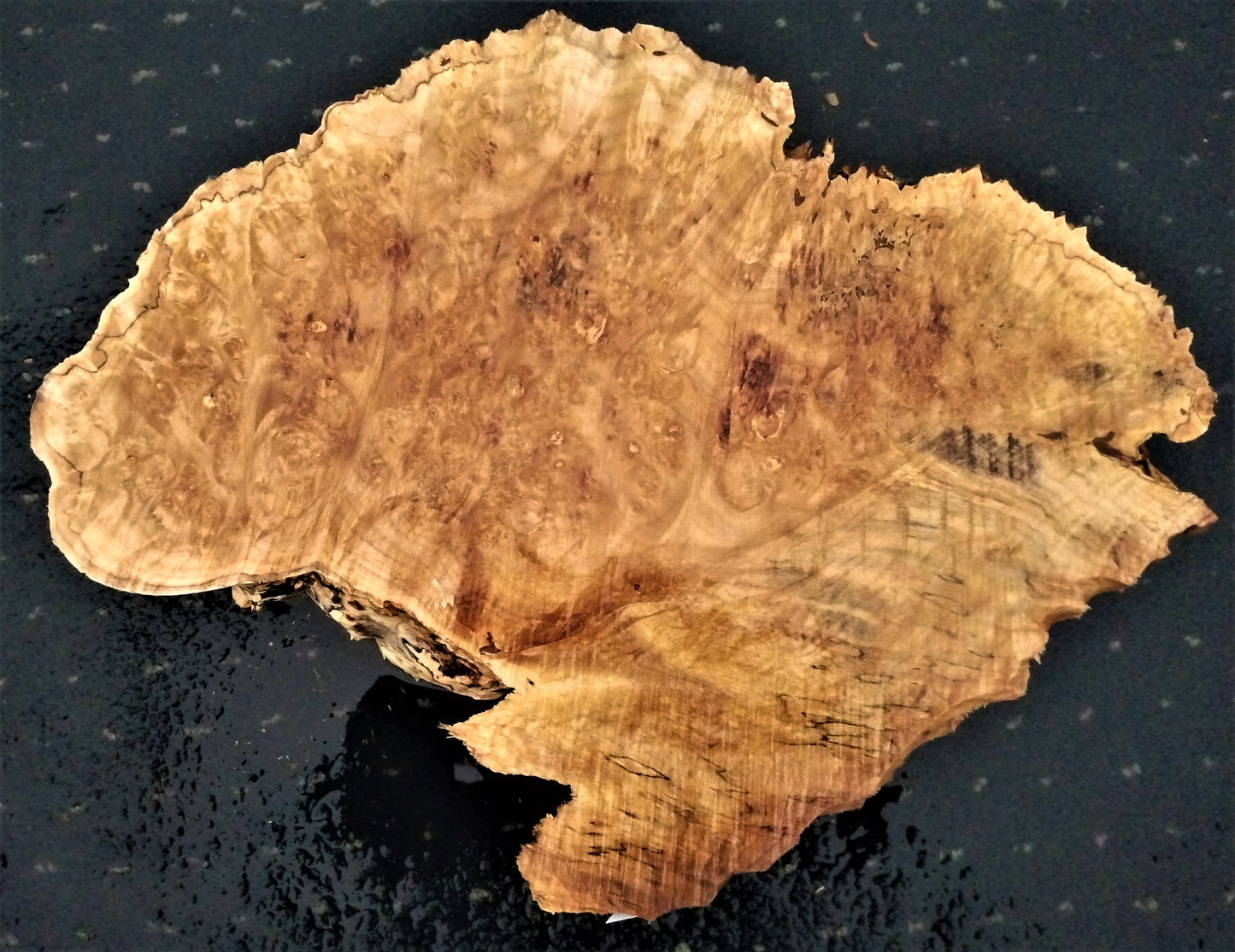 Maple burl slab | live edge slab | burl table clock | 21-0186 bs ma
