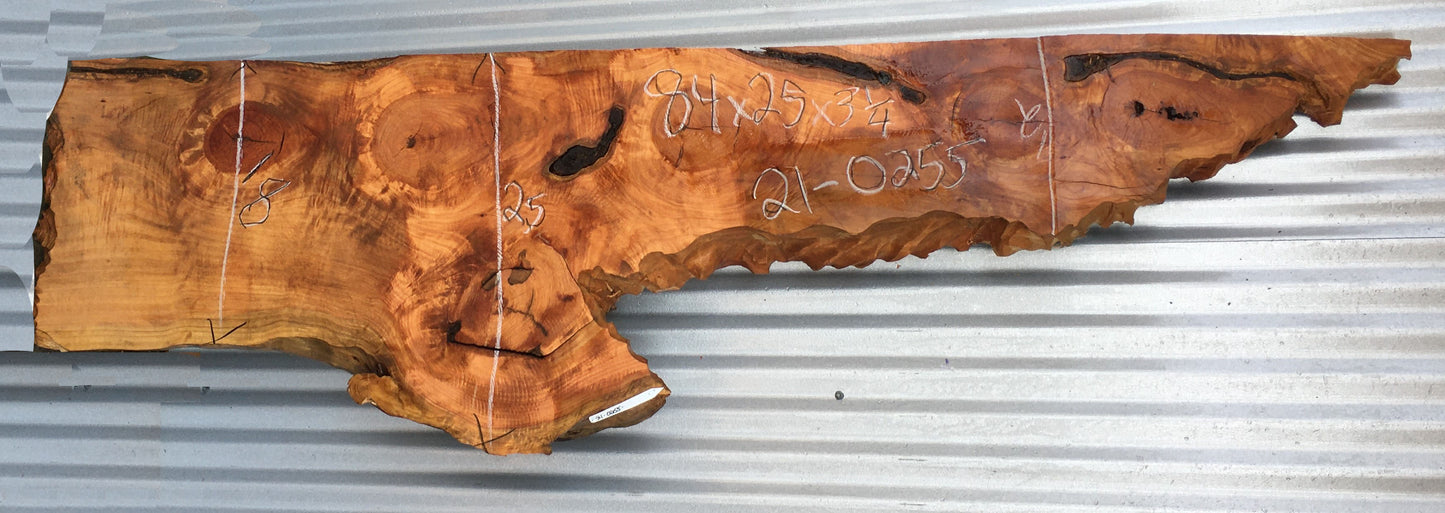 Live edge mantel | fireplace surround | Monterey Cypress | 21-0255mtl