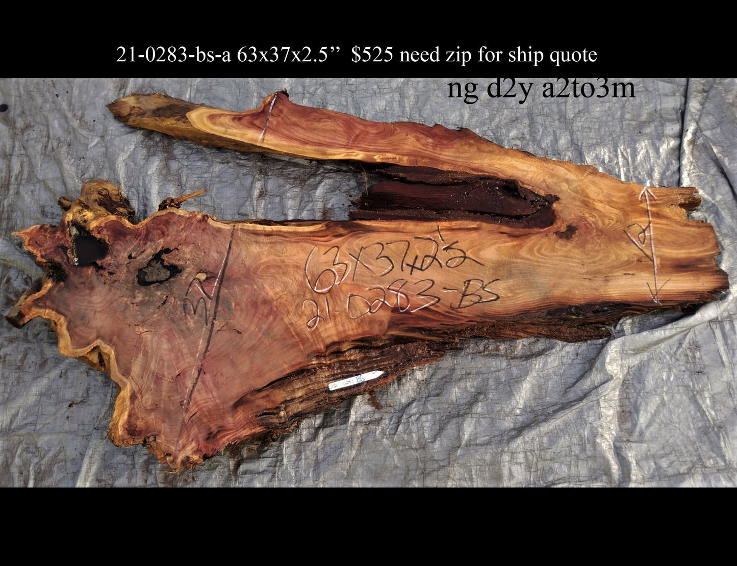 Live edge redwood | burl slab | river table | DIY craft wood | 21-0283-BS
