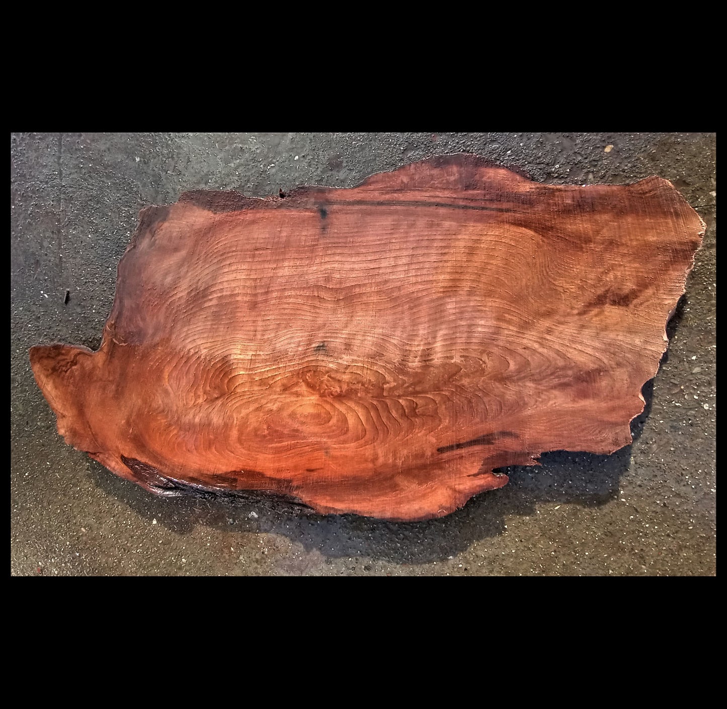 redwood live edge | bunion burl | DIY craft wood | 21-0310-BS