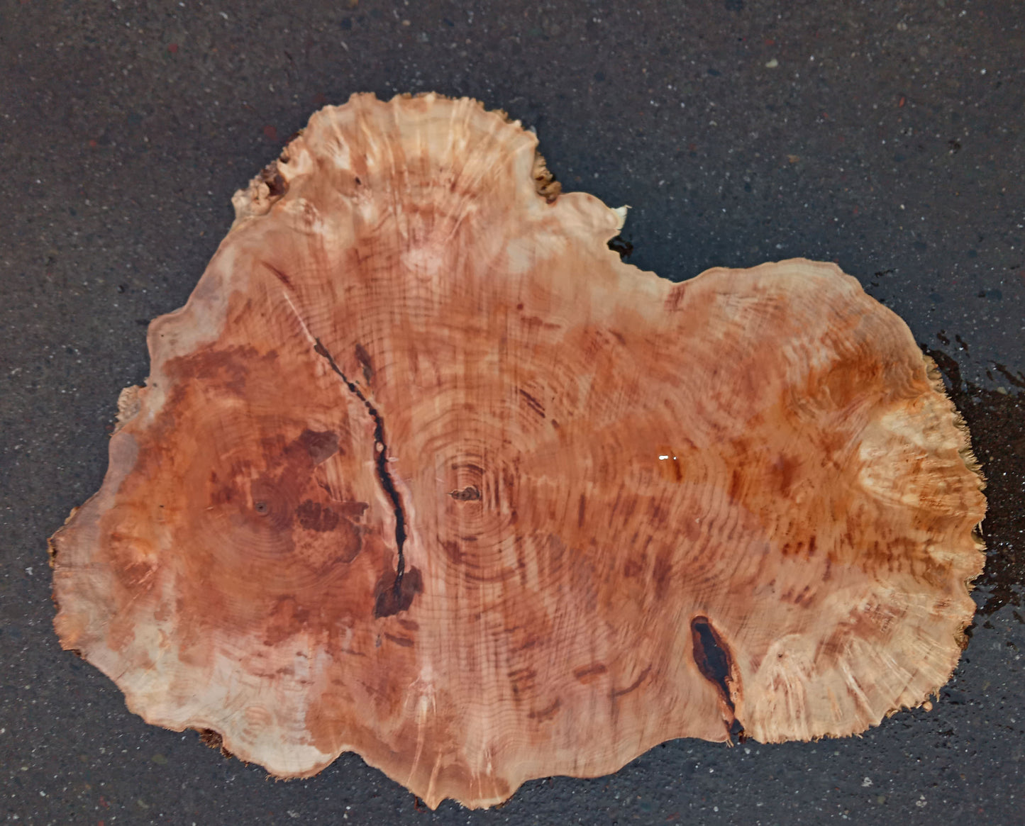 maple burl | live edge | DIY craft wood | 21-0322-BS
