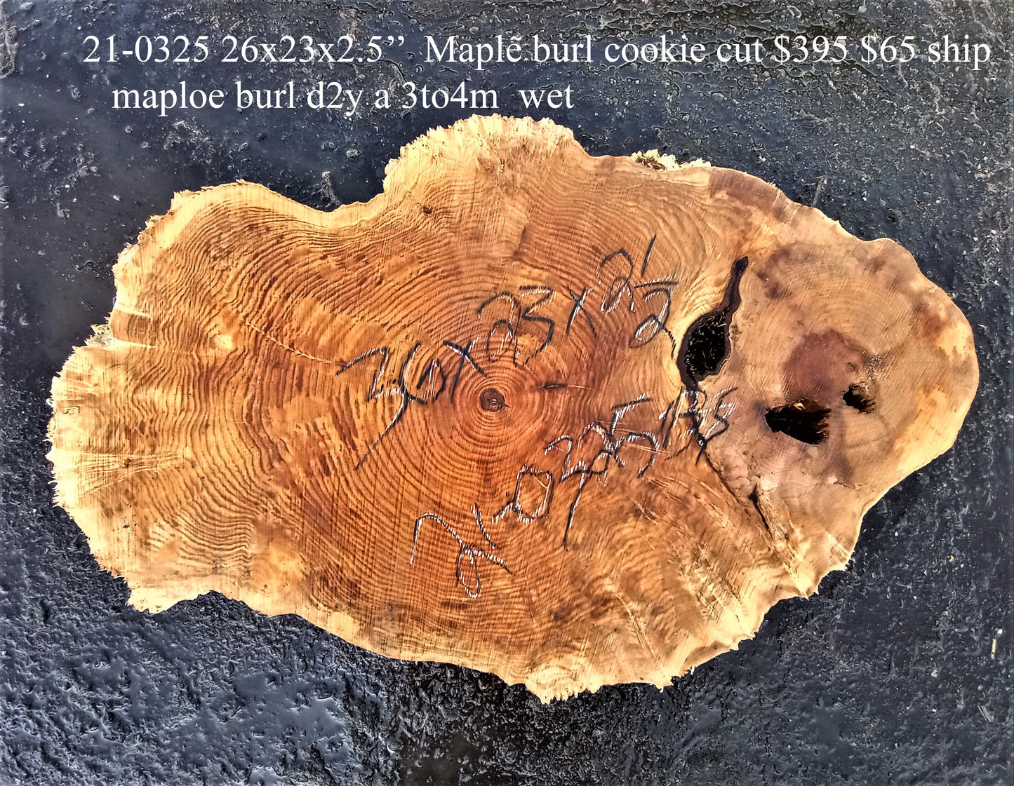 Maple burl | live edge | cookie cut | DIY craft wood | 21-0325-BS
