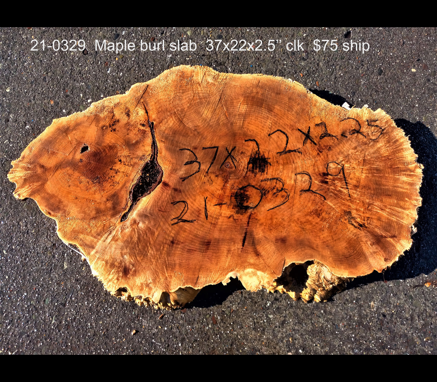 Maple burl slab | live edge slab | burl table | 21-0329