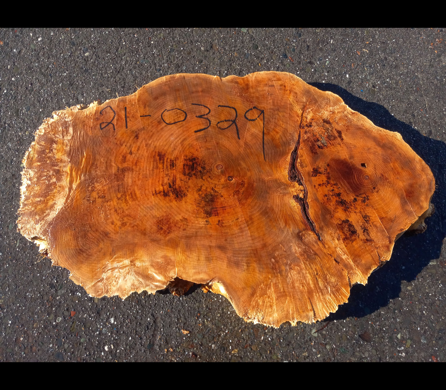 Maple burl slab | live edge slab | burl table | 21-0329