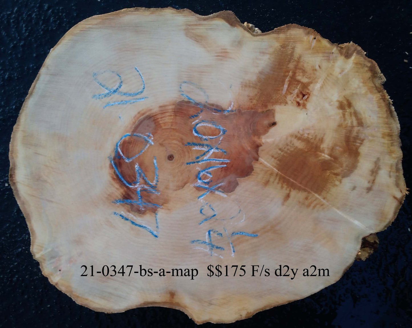 Maple cookie cut | live edge slab | GIY crafts | burl clock | 21-0347-maple