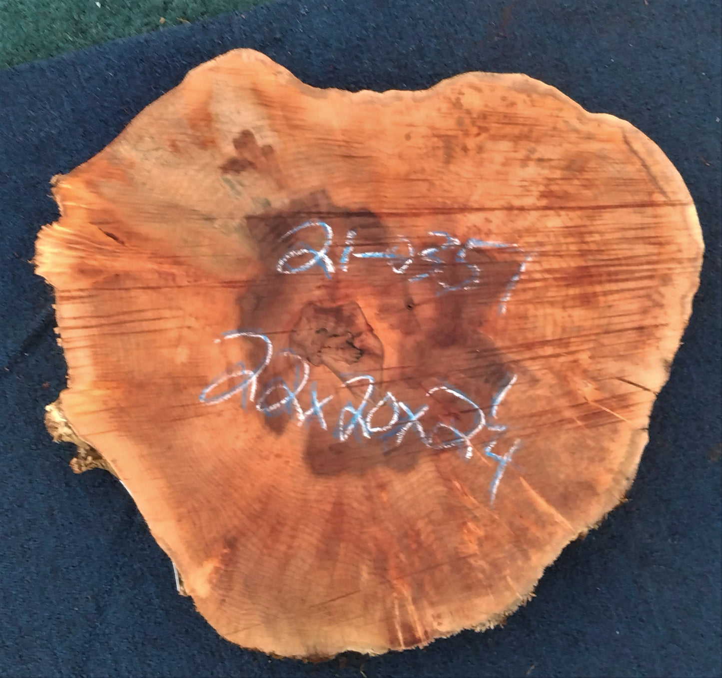 Maple burl | cookie cut | live edge | DIY craft wood | 21-0357-BS