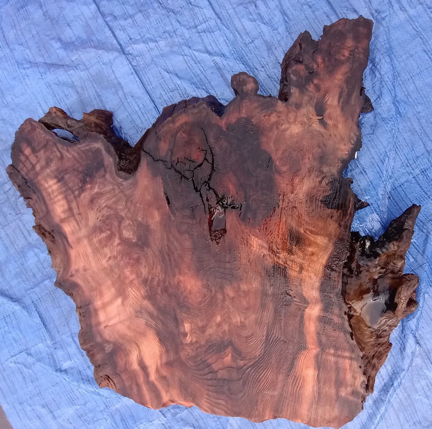 old growth redwood | live edge | DIY craft wood | 21-0369-BS