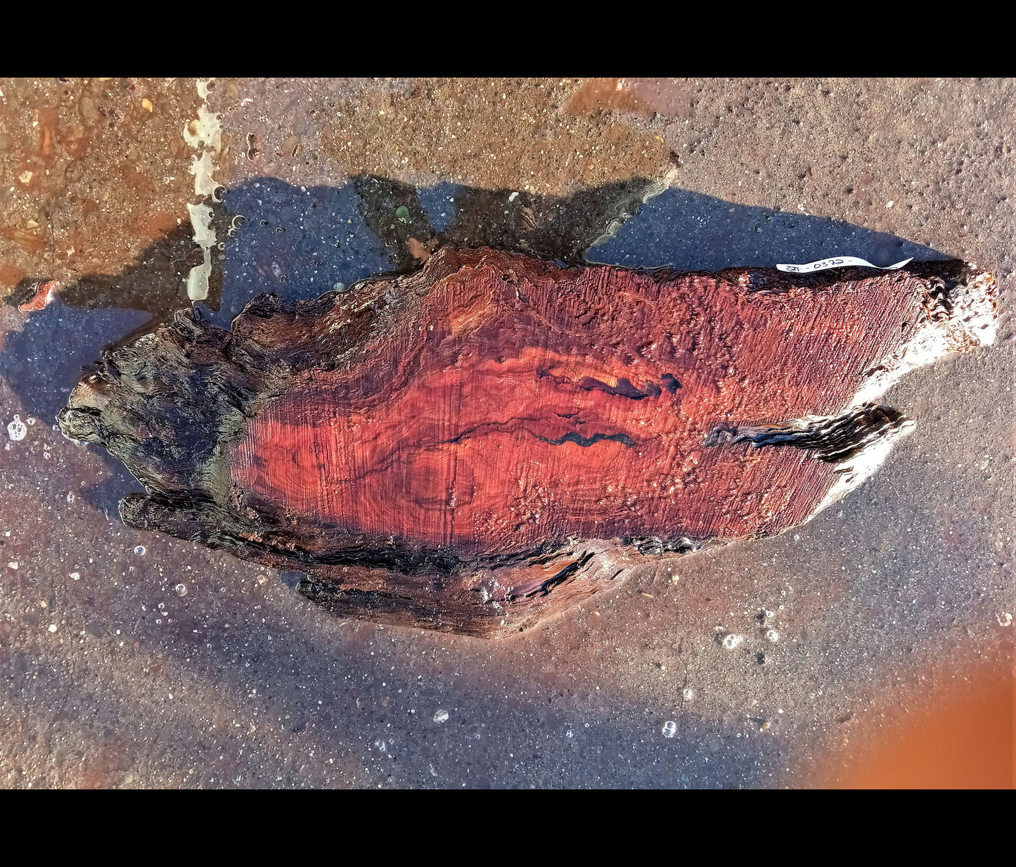 old growth redwood | live edge | bunion burl | DIY craft wood | 21-0372-BS