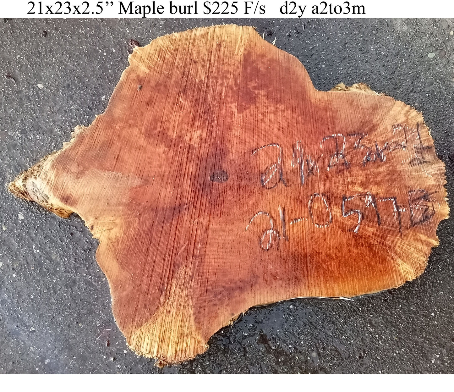 Maple burl | live edge | cookie cut | DIY craft wood | 21-0587-BS