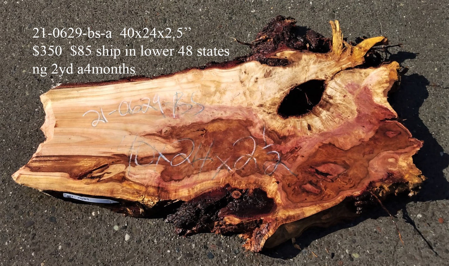 Redwood burl | live edge slab | DIY craft wood | river table | 21-0629-BS
