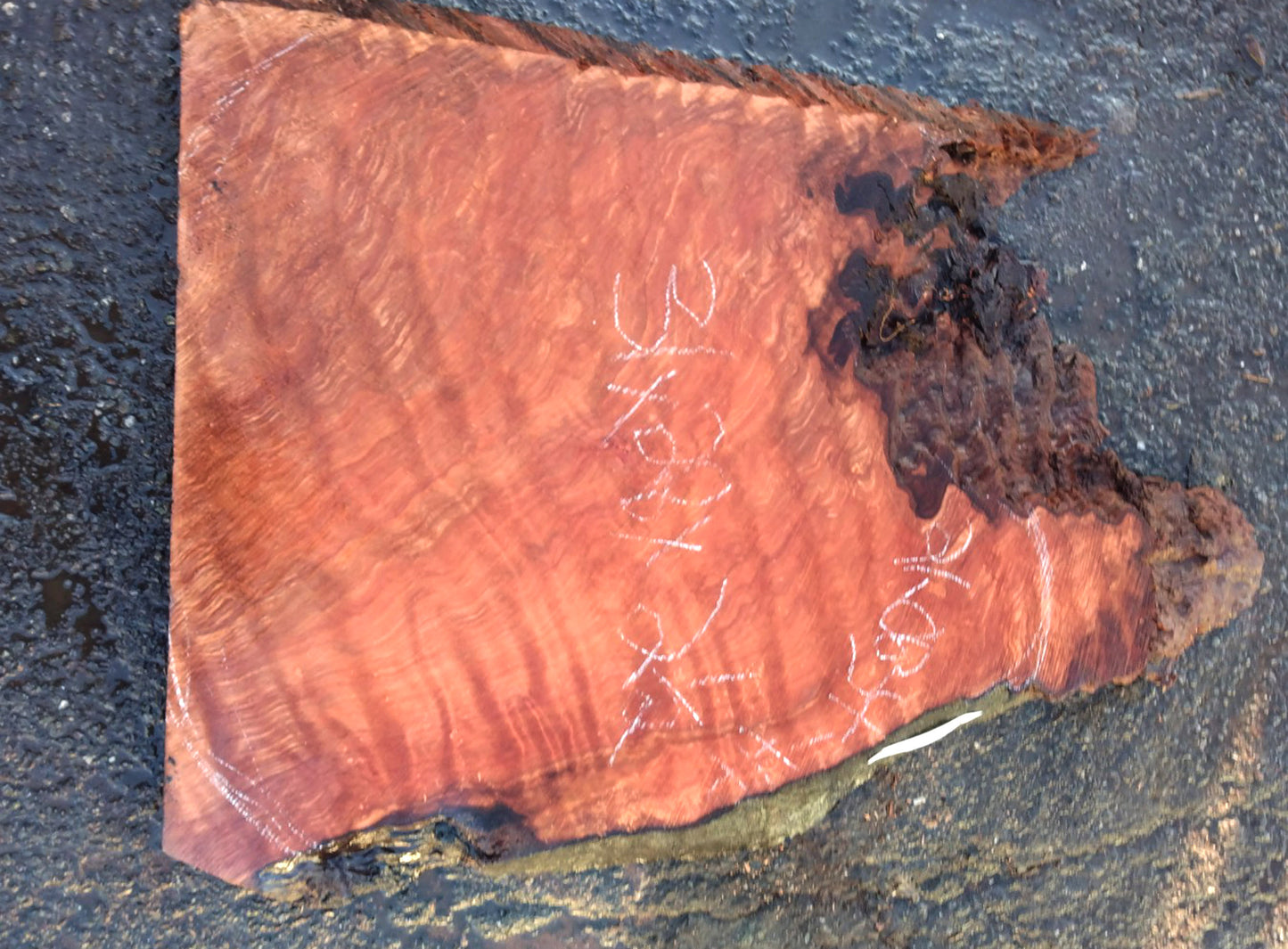 curly redwood | live edge | river table | DIY craft wood | 21-0634-BS