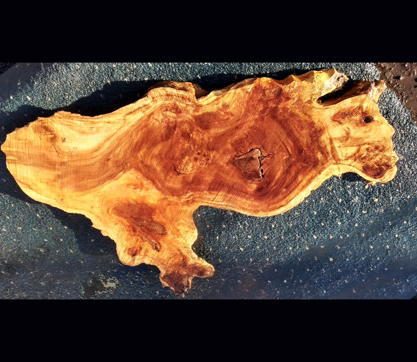 Poplar burl slab | live edge slab | craft woods | DIY projects | 21-0993 bs