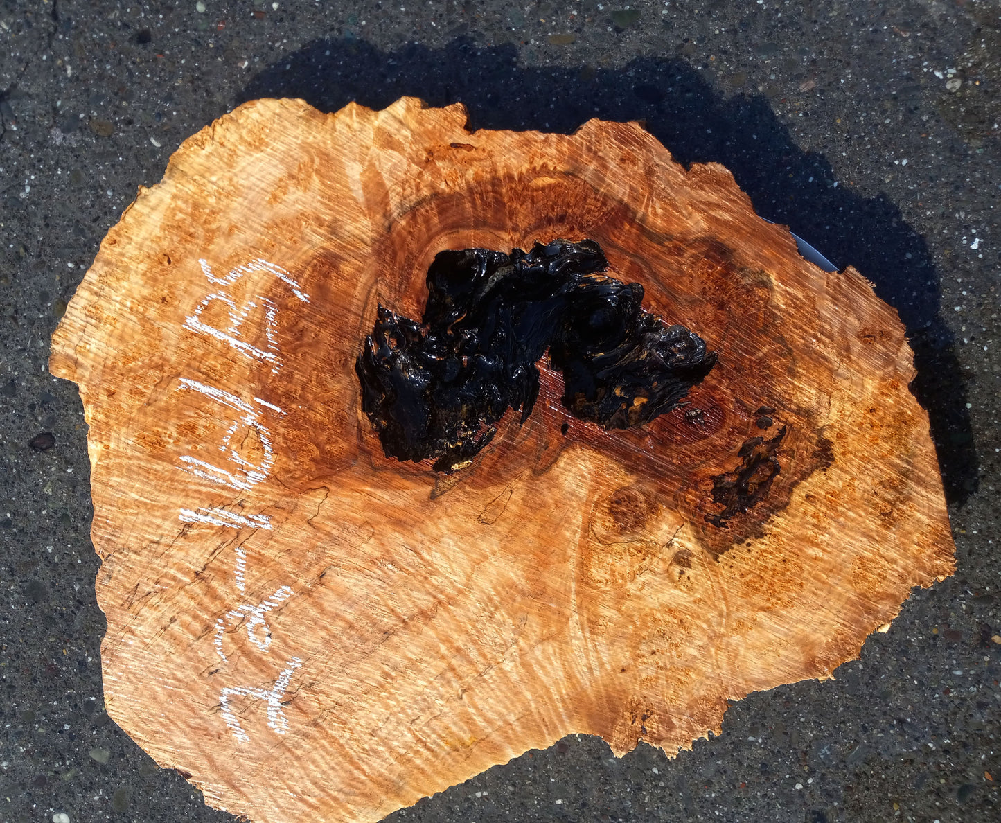 epoxy river tables | live edge slabs | rustic burl | DIY craft woods | 22-161