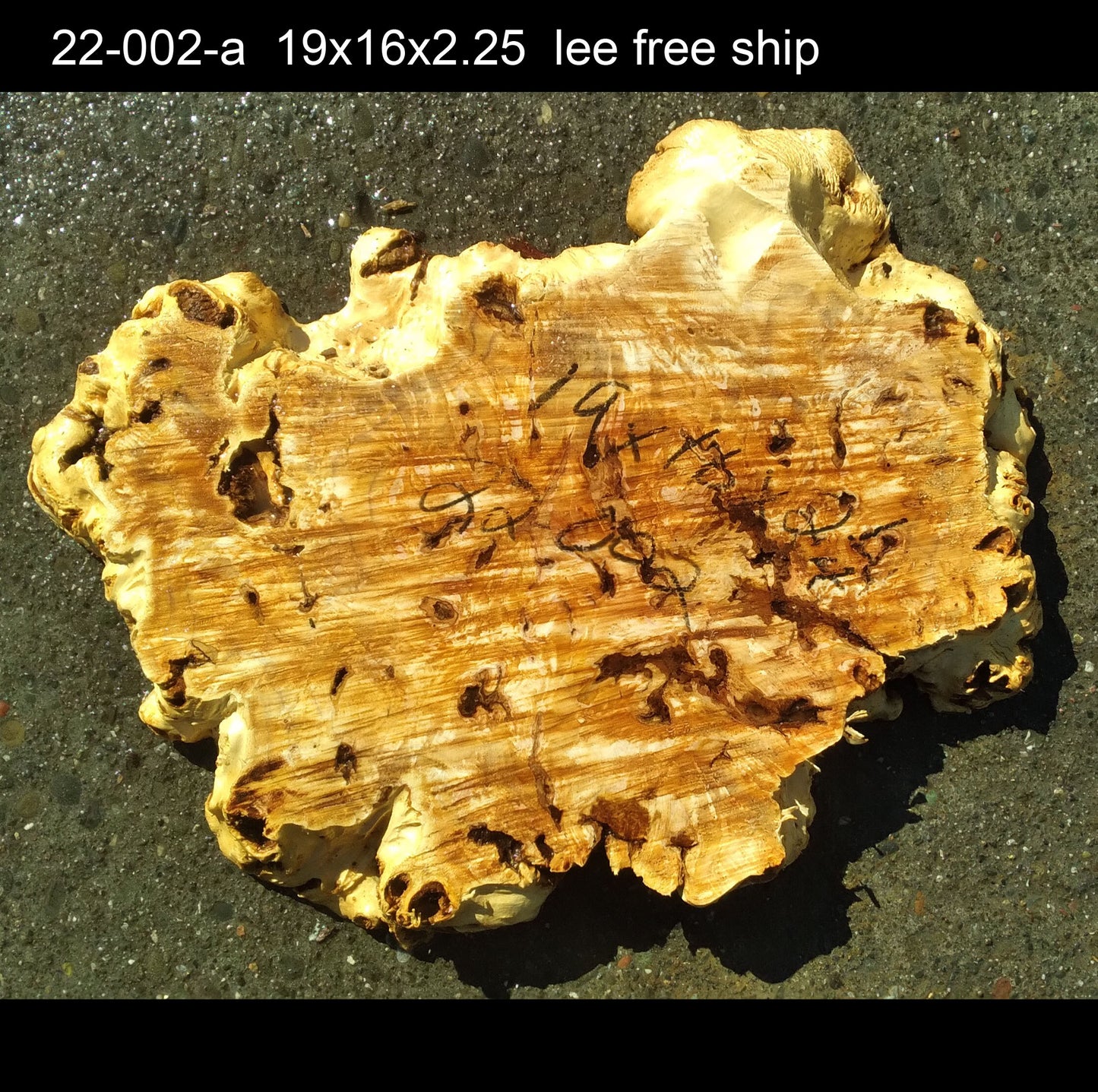 Poplar burl | DIY crafts | crafts | burl table | 22-002
