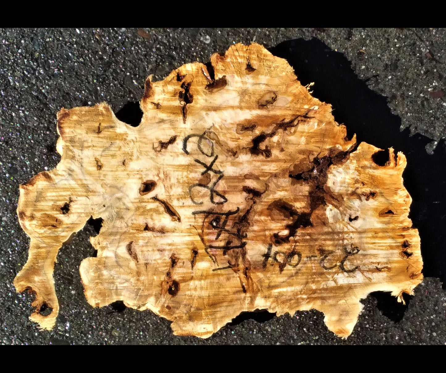 Poplar burl | live edge slab | DIT crafts | trophy mount | 22-004