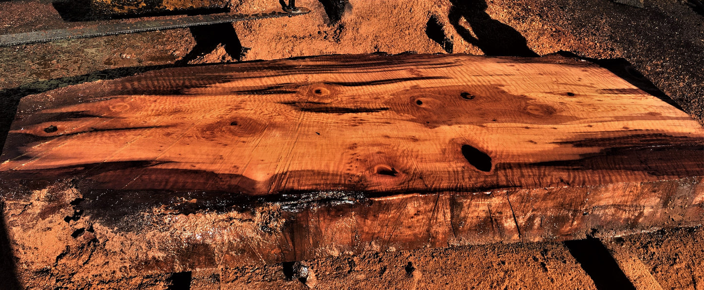 curly redwood | burl slab | DIY craft wood | live edge | 22-0080-BS