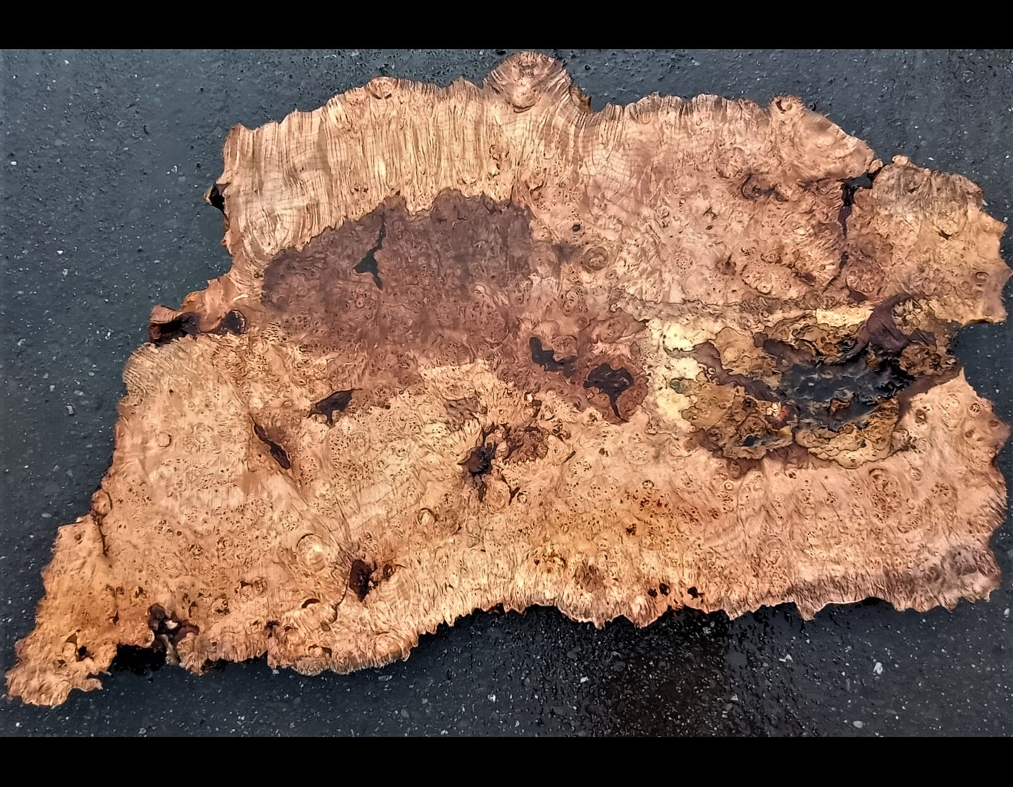 maple burl | live edge | DIY craft wood | 22-0345-BS
