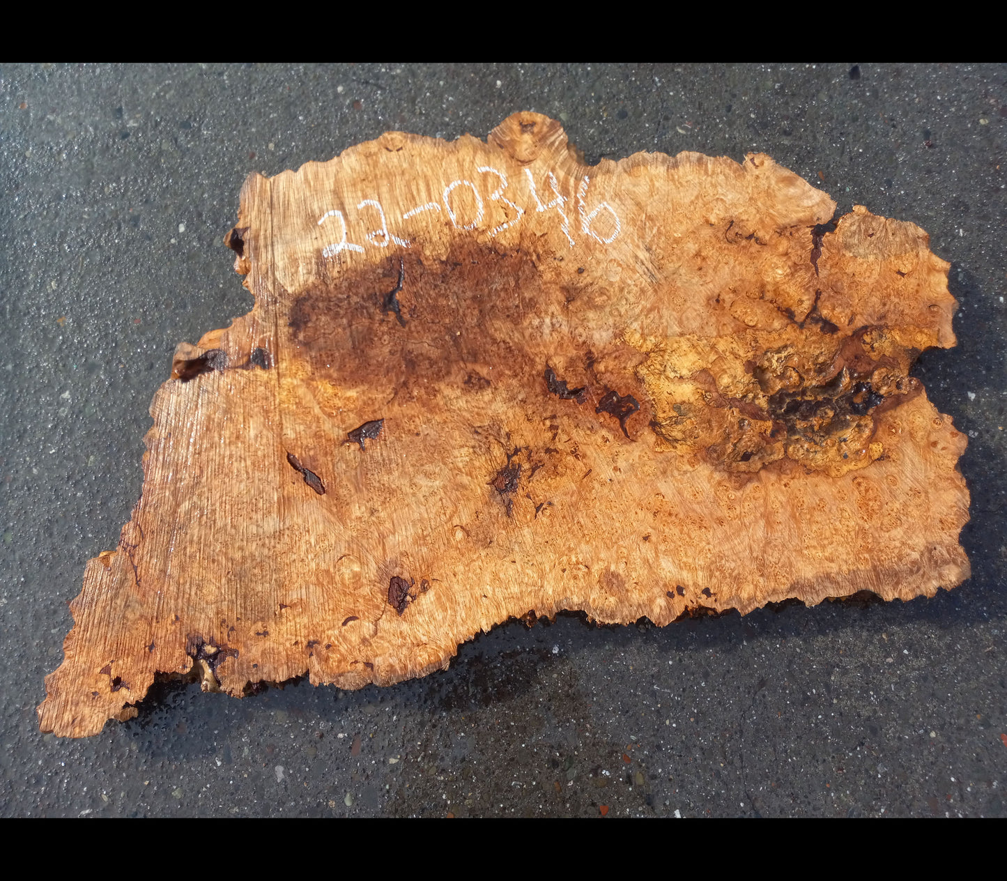 Maple burl slab | live edge table | DIY crafts | burl table | 22-0346