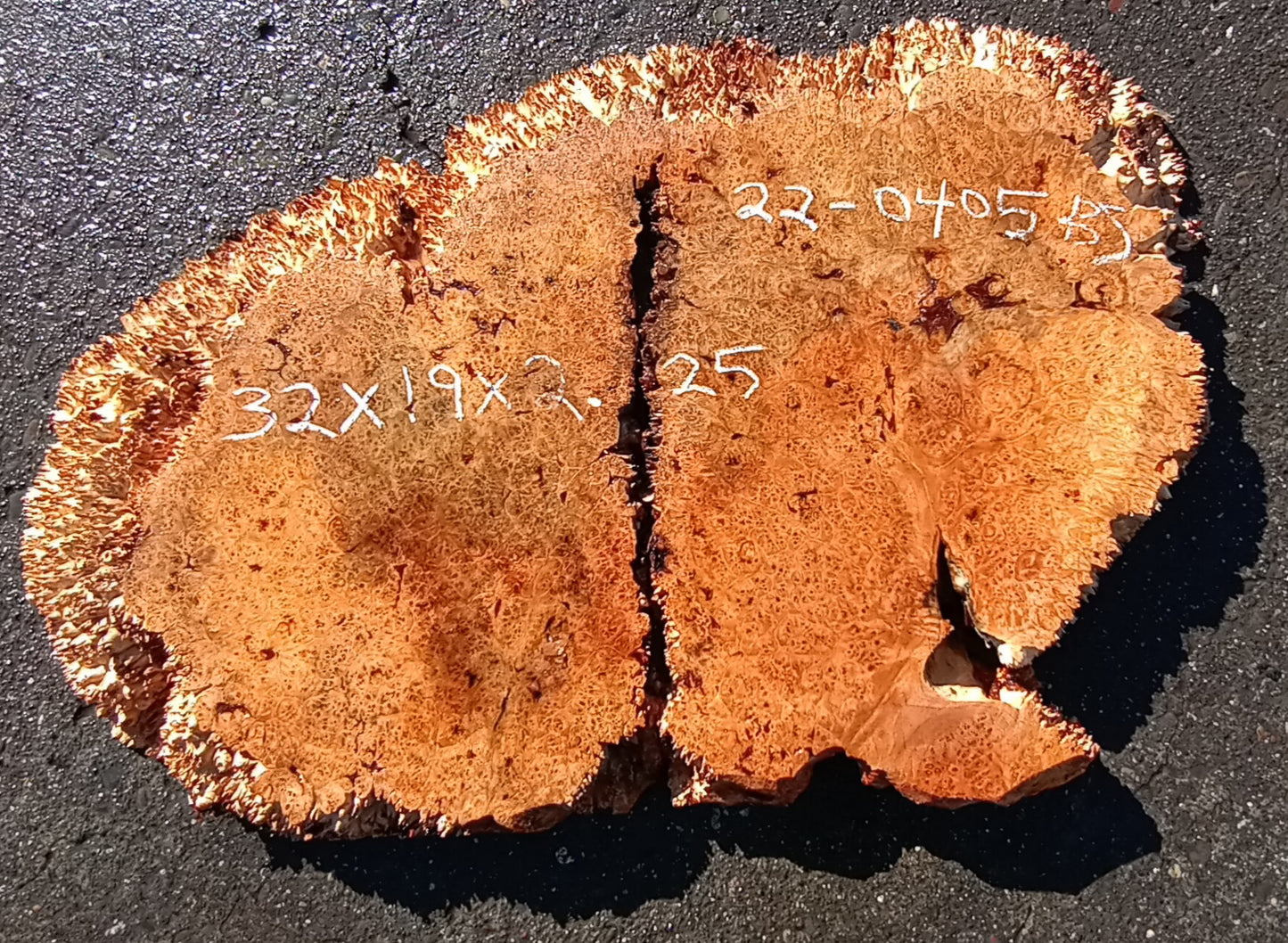 maple burl | live edge | DIY craft wood | 22-0405-BS
