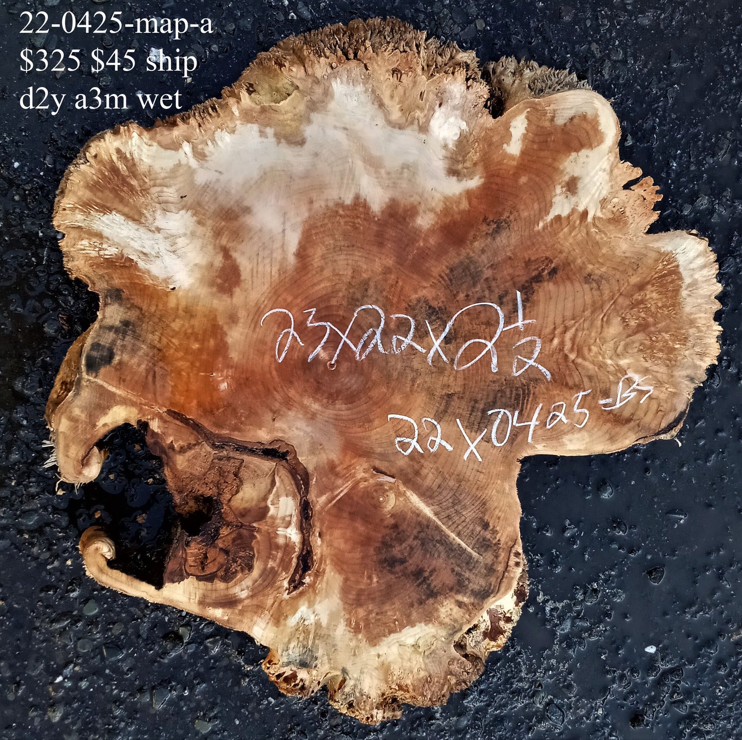 maple burl | live edge | DIY craft wood | 22-0425-BS