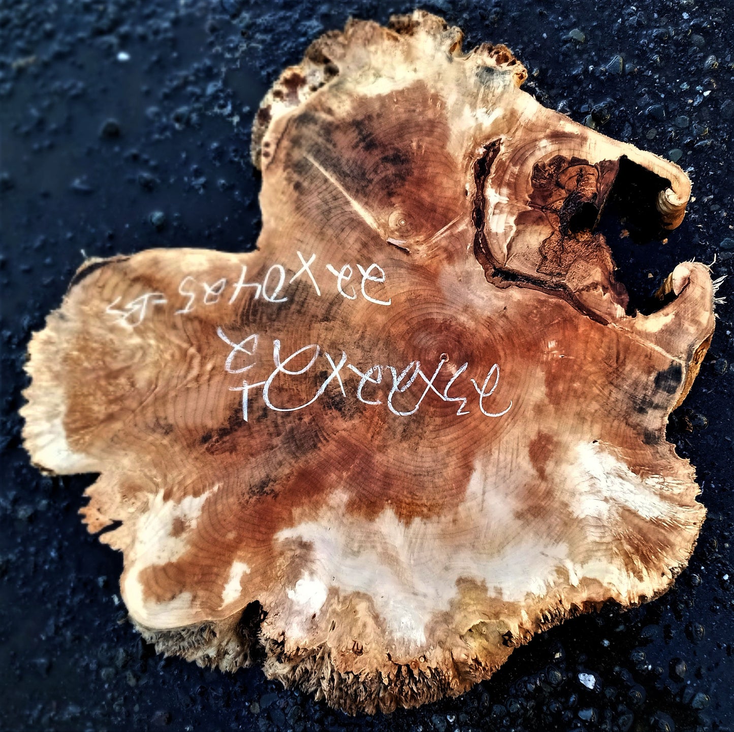 maple burl | live edge | DIY craft wood | 22-0425-BS