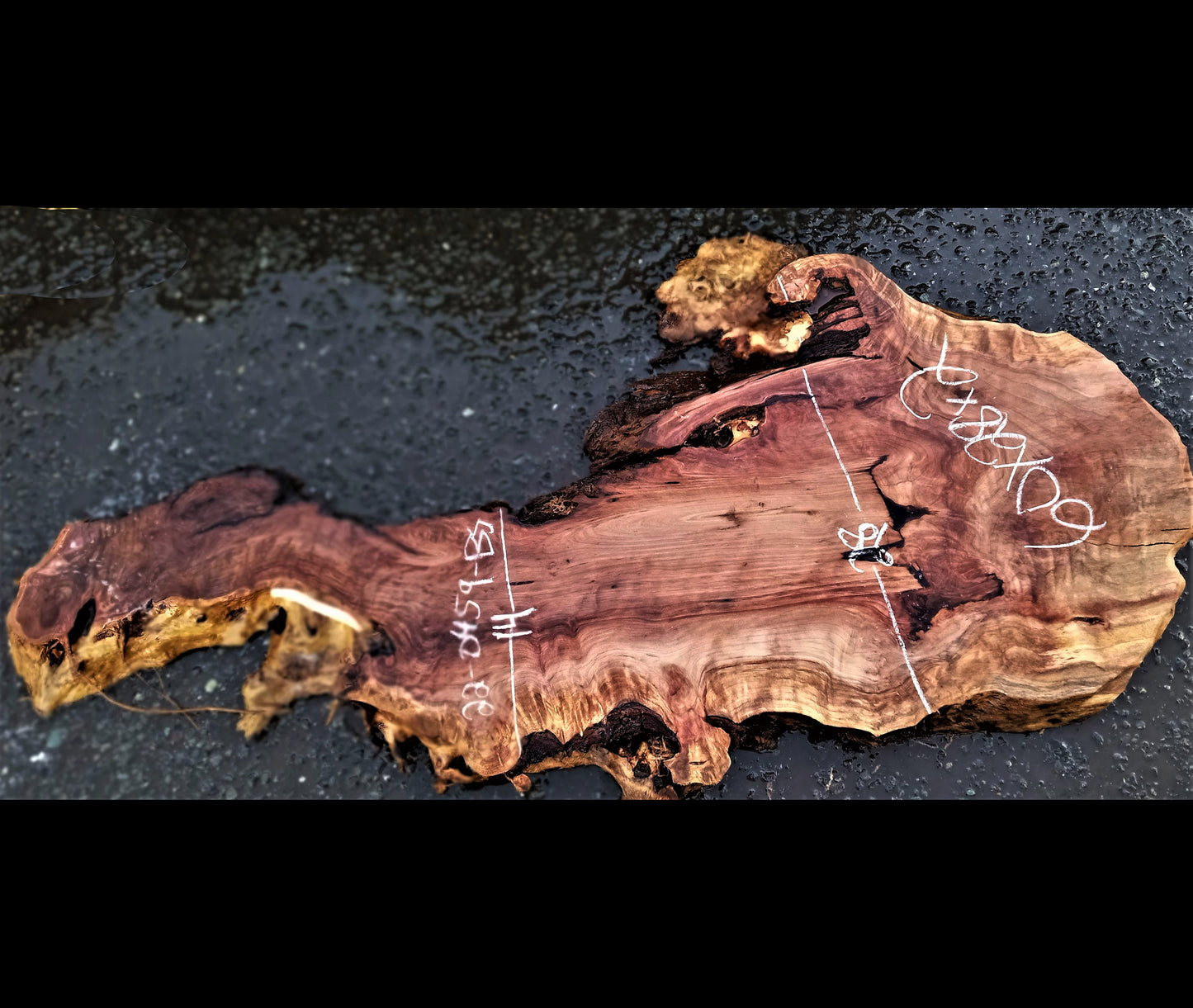 Redwood Slab | DIY | Craft | 22-0459