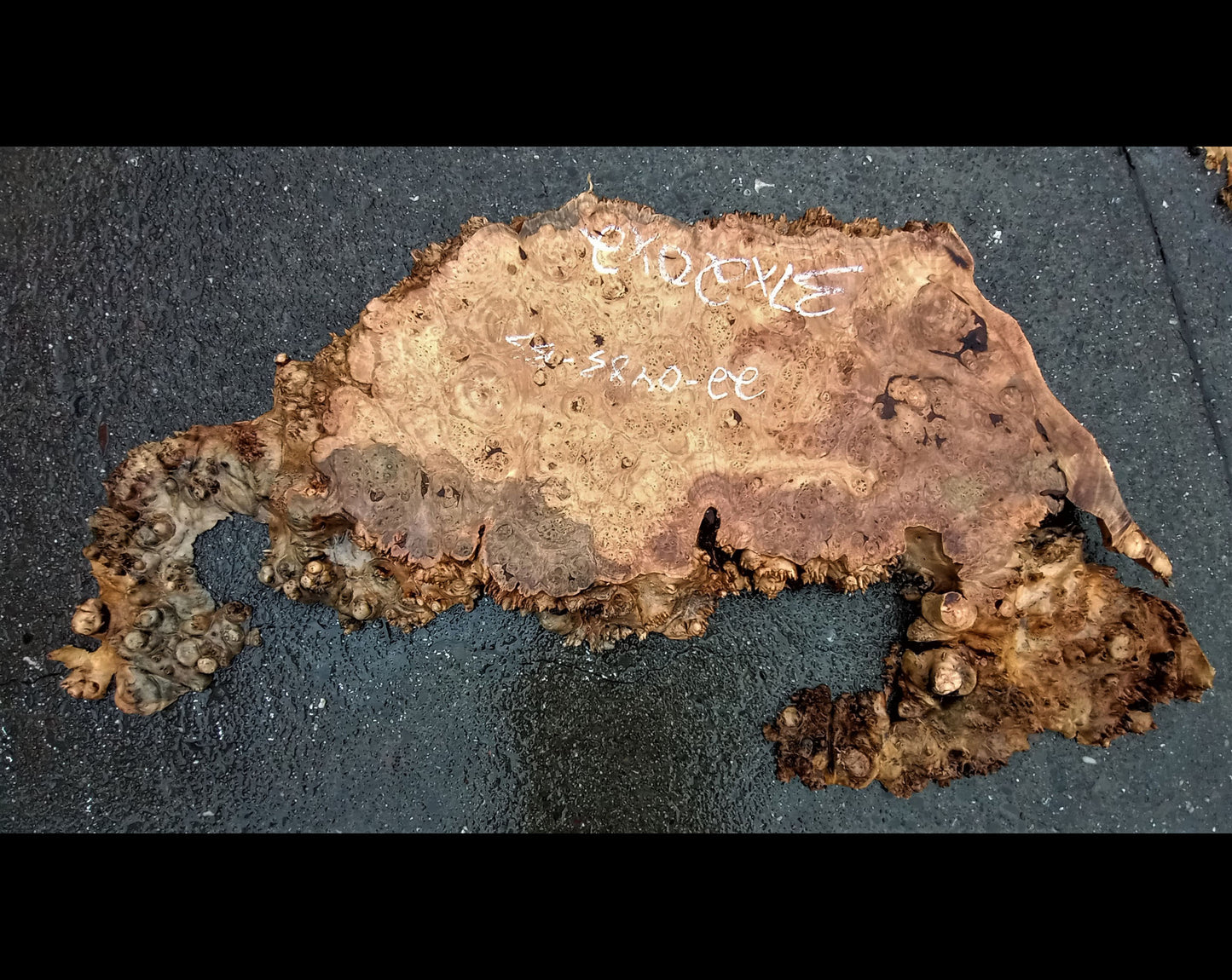 spalted maple burl | live edge | river table | DIY craft wood | 22-0483-BS