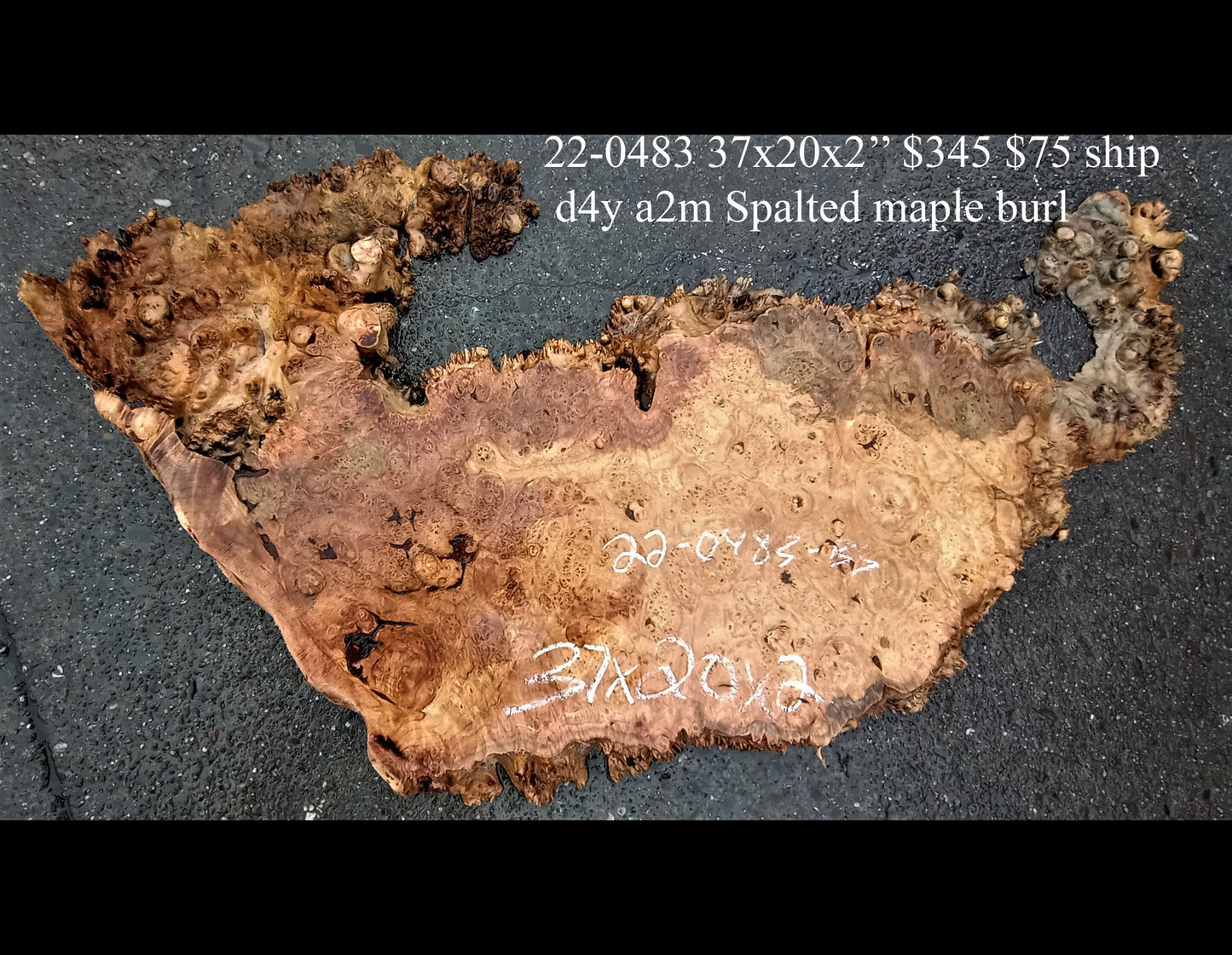 spalted maple burl | live edge | river table | DIY craft wood | 22-0483-BS