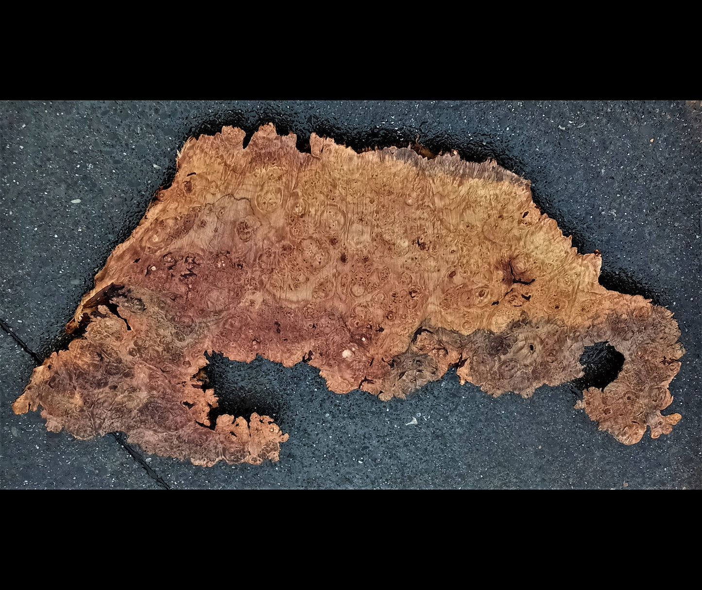 spalted maple burl | live edge | river table | DIY craft wood | 22-0483-BS