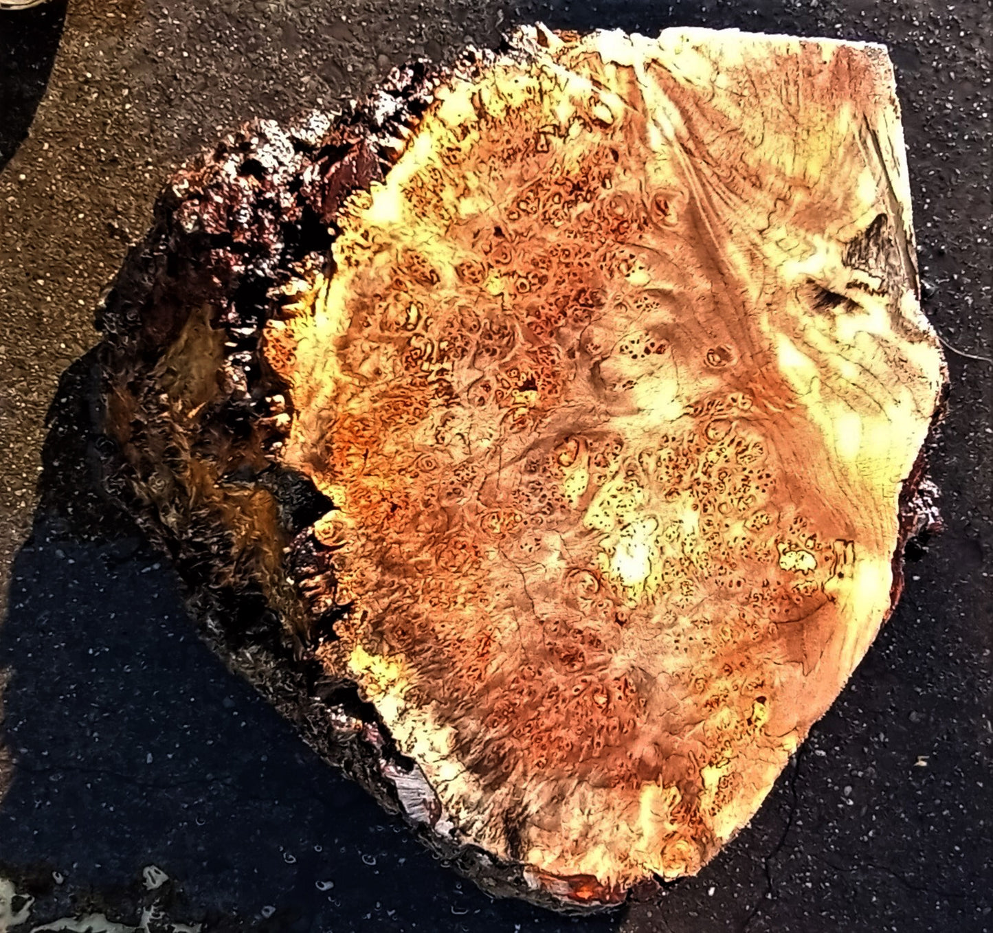 Maple Burl Block | Maple Burl | Maple Block | Burl Block | 22-0566